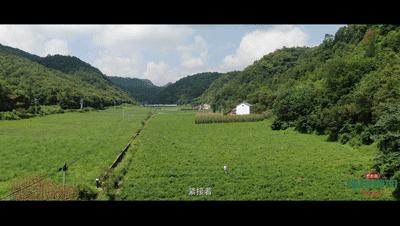 十堰白浪最新规划道路，塑造未来城市交通蓝图