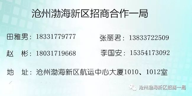 渤海新区官网最新招聘信息及解读速递