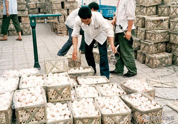 中牟大蒜最新交易价格，市场走势与影响因素深度解析