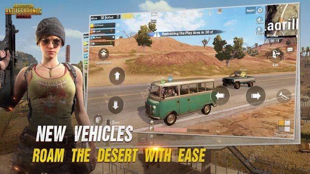 PUBG国际服最新版，全新体验与独特魅力探秘